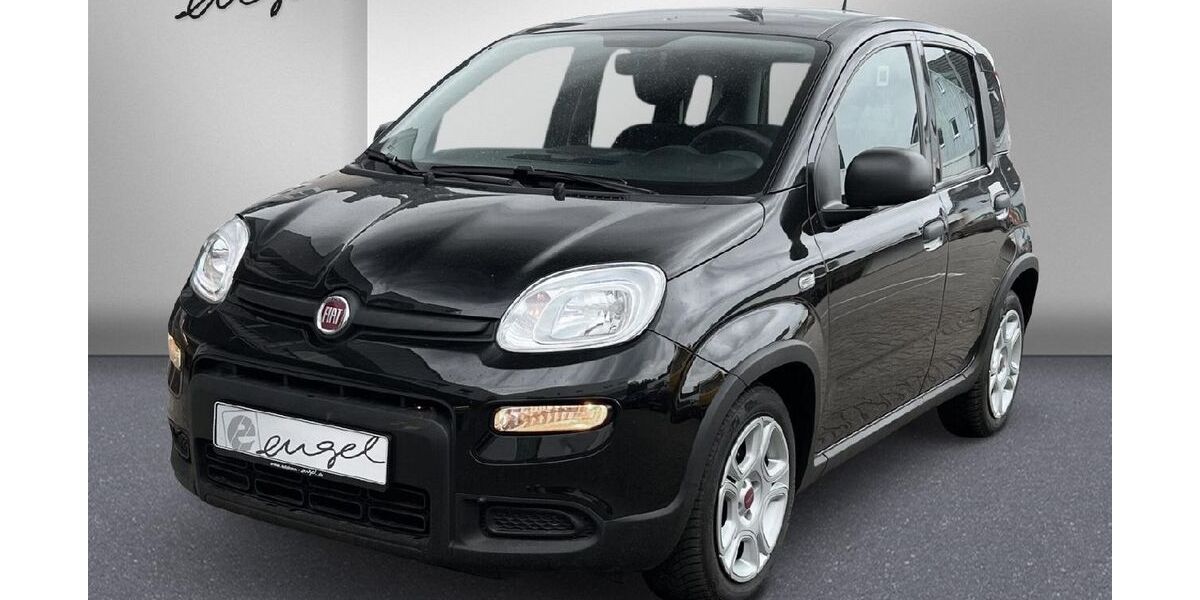 Fiat Panda 45.700 km 11.989 &euro; Wunsiedel 95632
