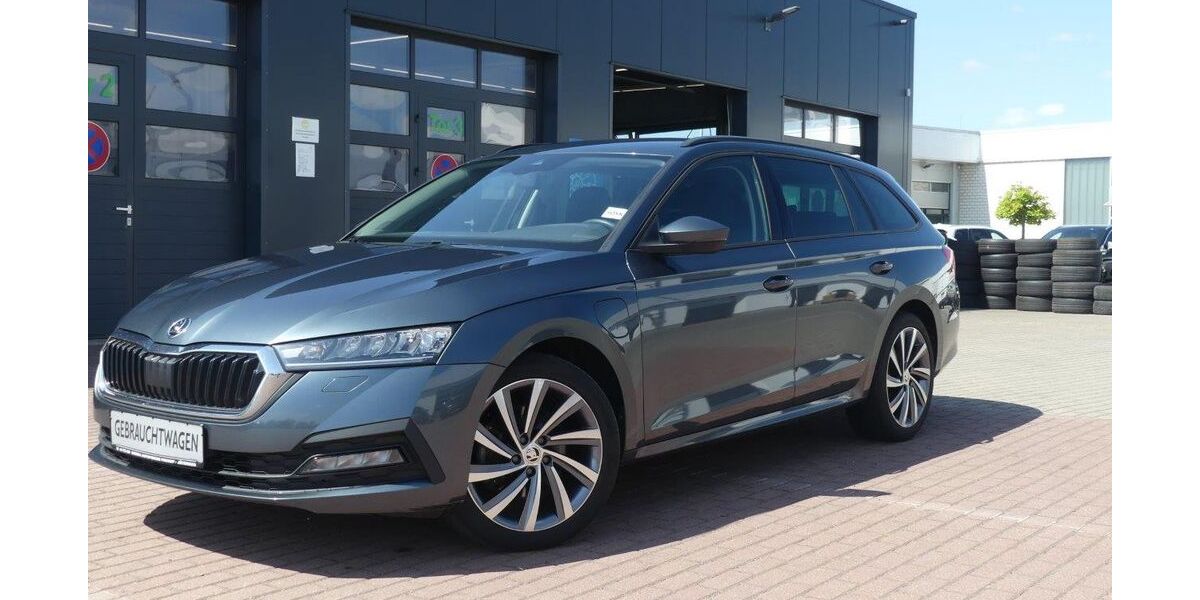 Skoda Octavia 110.590 km 19.990 &euro; Jüterbog 14913