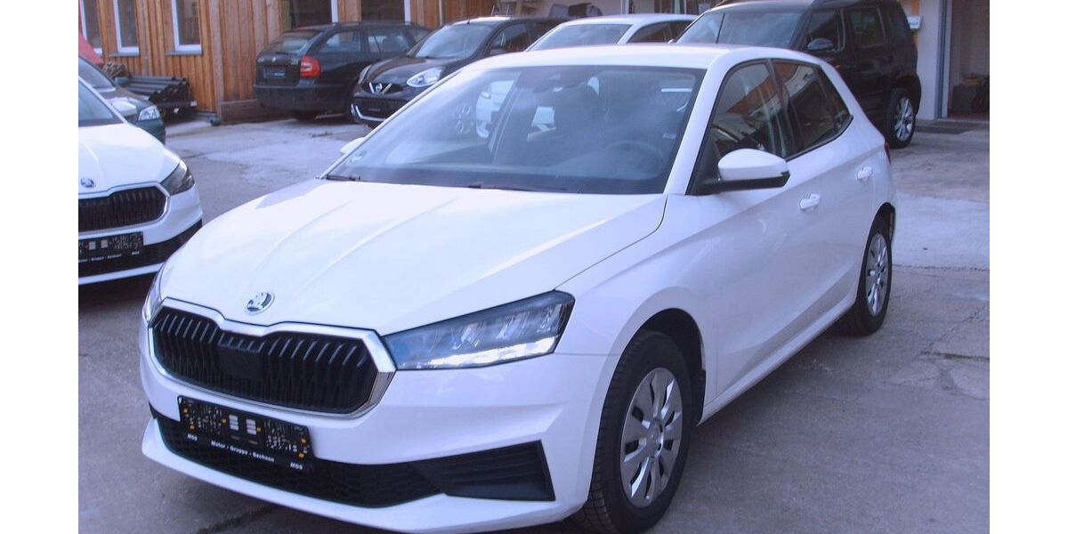 Skoda Fabia 64.000 km 10.900 &euro; Dresden 01129