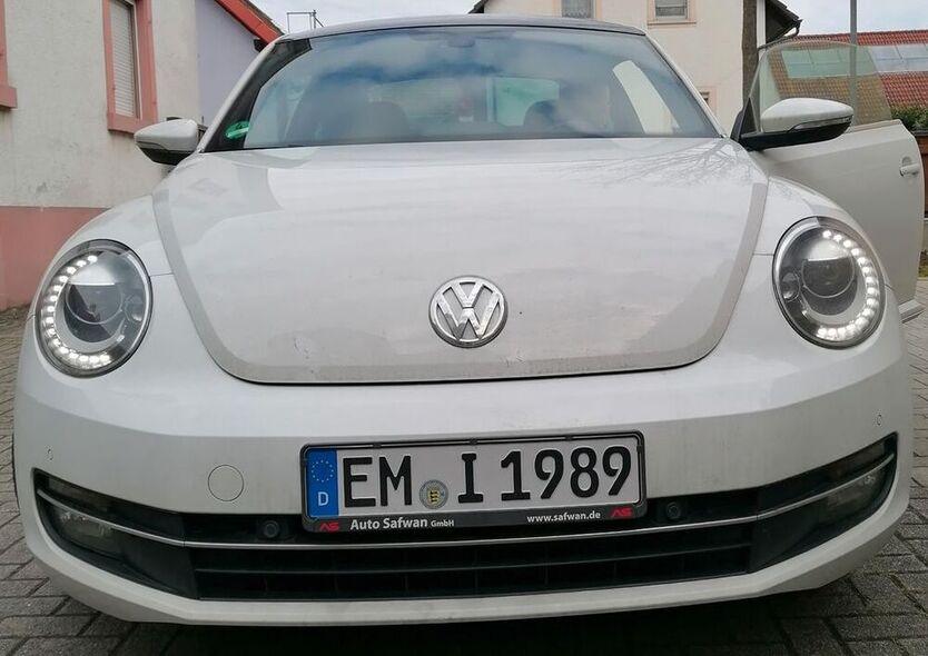 Beetle