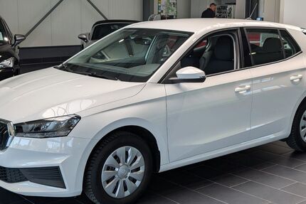 Skoda Fabia 68.000 km 13.900 &euro; Weinheim 69469