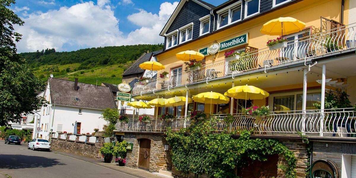 Gewerbeobjekt Burg (Mosel) - 569.000&euro; | Angebot:26398311