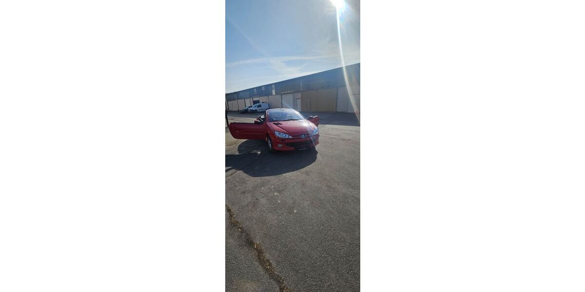 Peugeot 206 330.000 km 1.400 &euro; Herzberg am harz 37412