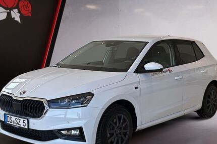 Skoda Fabia 1.611 km 24.789 &euro; Donaueschingen 78166
