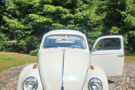 VW Käfer 25.335 km 11.500 € Arnsdorf 01477