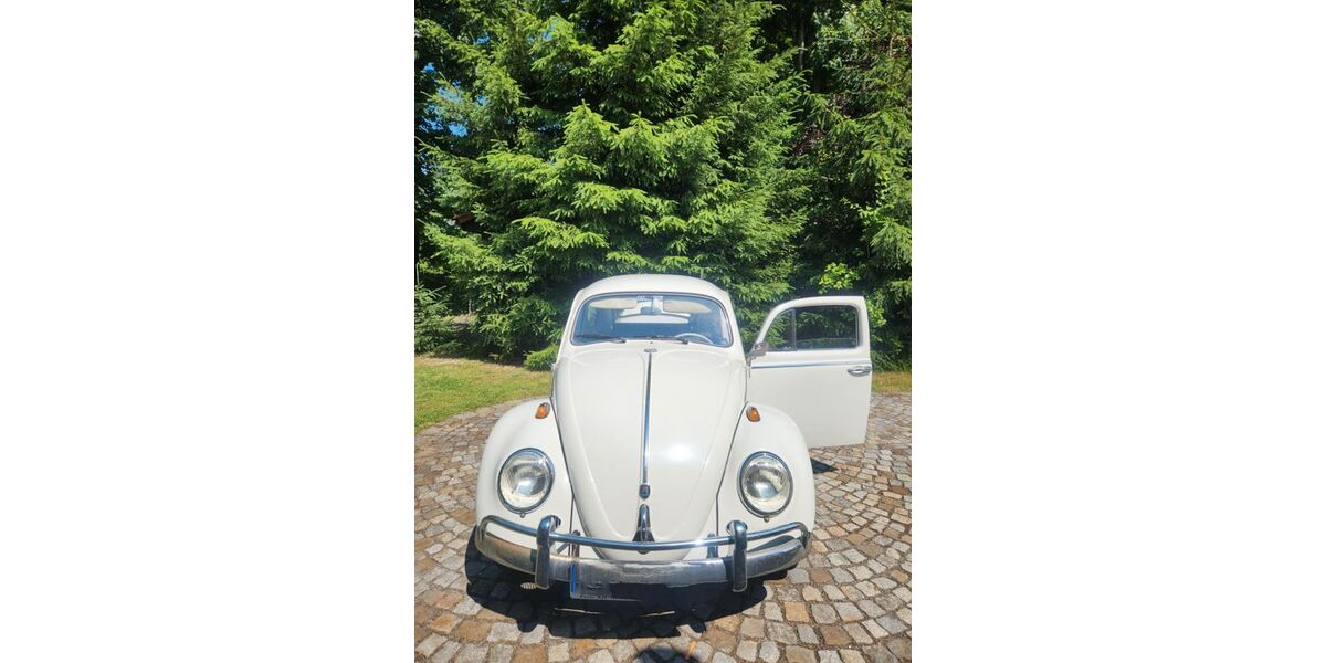 VW Käfer 25.335 km 11.500 € Arnsdorf 01477