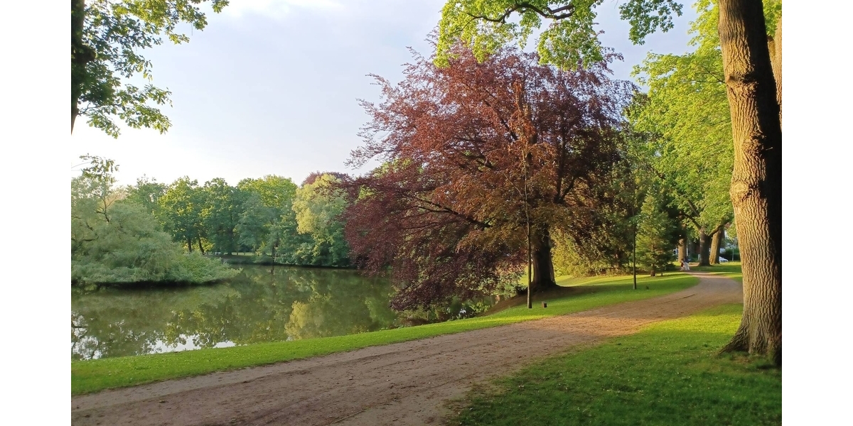 Ein Haus mit Charakter – Reihenendhaus mit großem Garten und viel Potenzial in Lübeck - Reihenendhaus Lübeck Burgtor / Stadtpark | Angebot:26931786