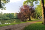 Familienfreundlich: Endreihenhaus in St. Gertrud, nahe Stadtpark, nahe Kindergarten ! Förderfähig - Reihenendhaus Lübeck Burgtor / Stadtpark | Angebot:26931786
