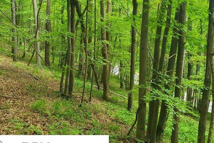 Versteigerungsimmobilie Bad Staffelstein Schönbrunn - 29.000&euro; | Angebot:25996725