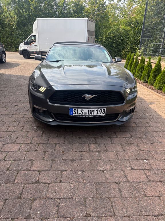 Mustang