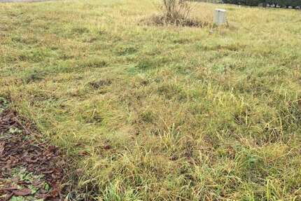 Grundstück Friedersdorf Friedersdorf - 65.000&euro; | Angebot:24514538