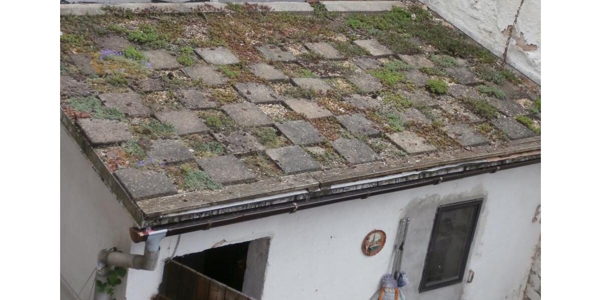 Reihenhaus Zwickau Zwickau-West - 59.500&euro; | Angebot:23214983