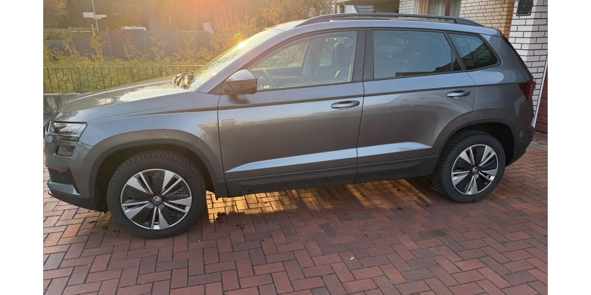Skoda Karoq 29.000 km 26.600 &euro; Detmold 32758