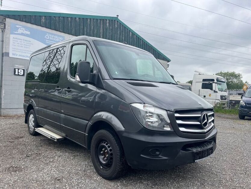 Sprinter