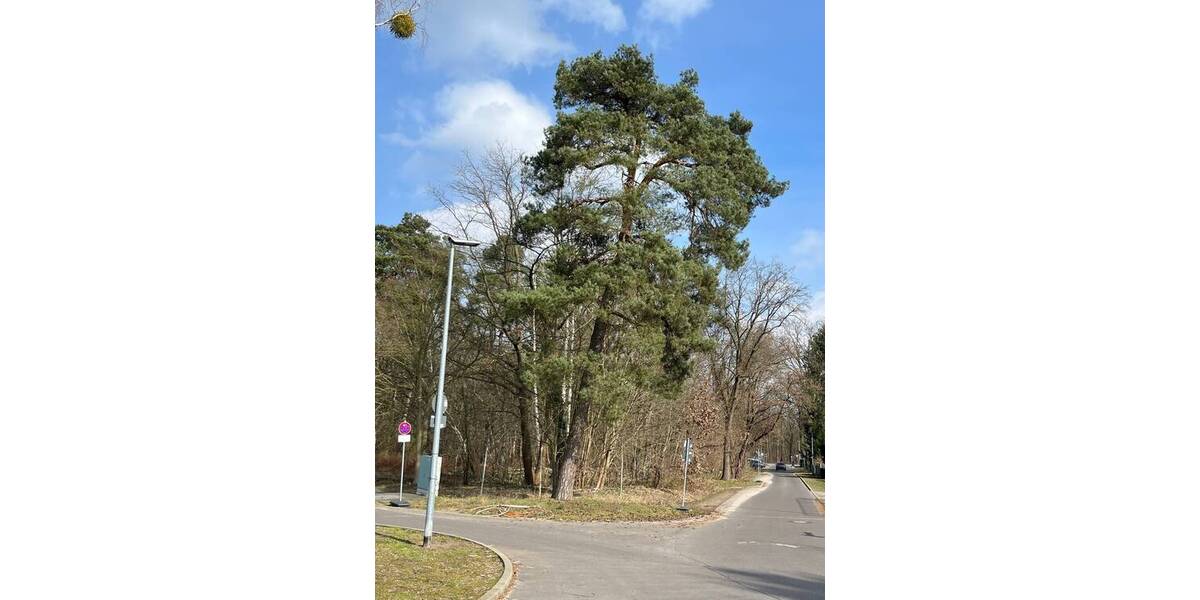 Etagenwohnung Falkensee - 9 Zimmer, 196 m&sup2;, 655.000&euro; | Angebot:25999026