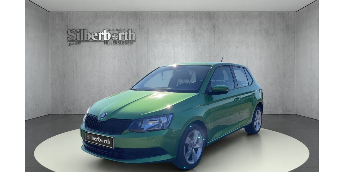 Skoda Fabia 79.538 km 9.190 &euro; Hillersleben 39343