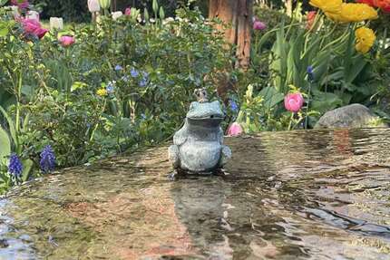 Haus München Thalkirchen-Obersendling-Forstenried-Fürstenried-Solln - 5 Zimmer, 193 m&sup2;, 1.970.000&euro; | Angebot:26343480