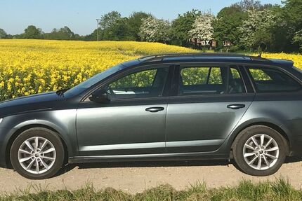 Skoda Octavia 354.250 km 5.555 &euro; Weede 23795