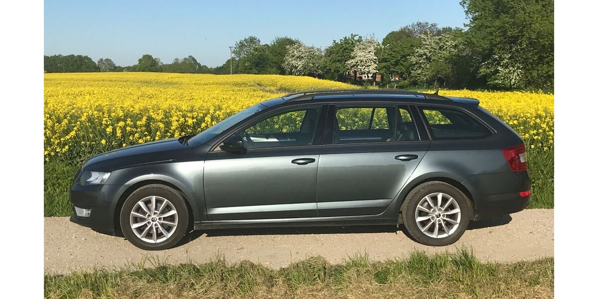Skoda Octavia 354.250 km 5.555 &euro; Weede 23795