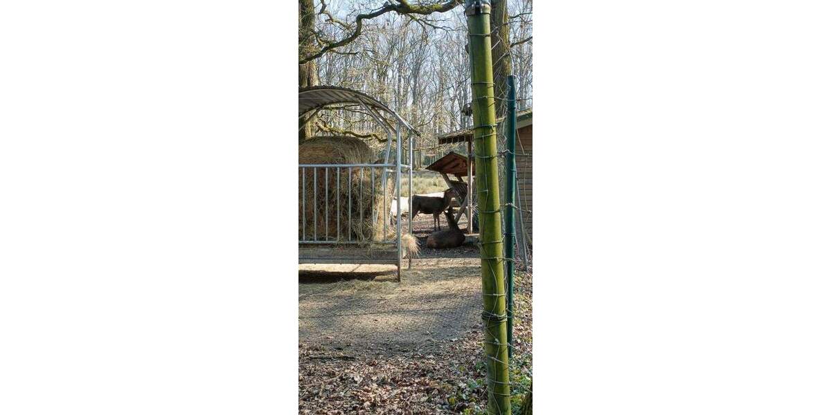 Etagenwohnung Troisdorf Troisdorf-Mitte - 4 Zimmer, 83 m&sup2;, 236.000&euro; | Angebot:24780452