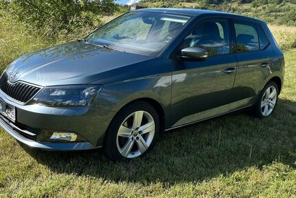 Skoda Fabia 107.500 km 9.770 &euro; Rottenburg am Neckar 72108