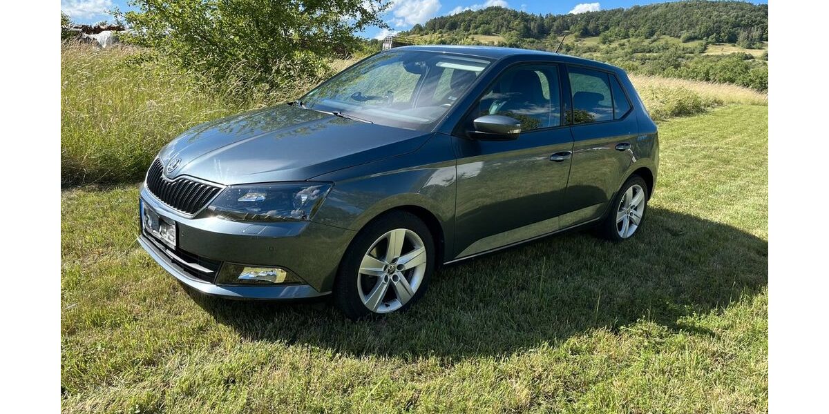 Skoda Fabia 107.500 km 9.770 &euro; Rottenburg am Neckar 72108