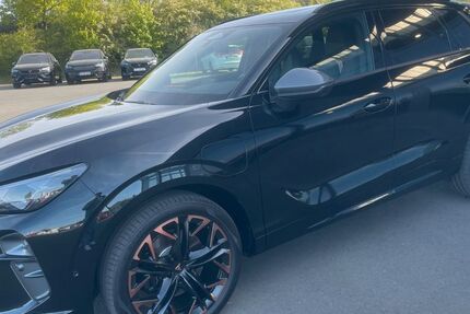 Cupra Terramar 15.805 km 42.480 &euro; Bitburg 54634