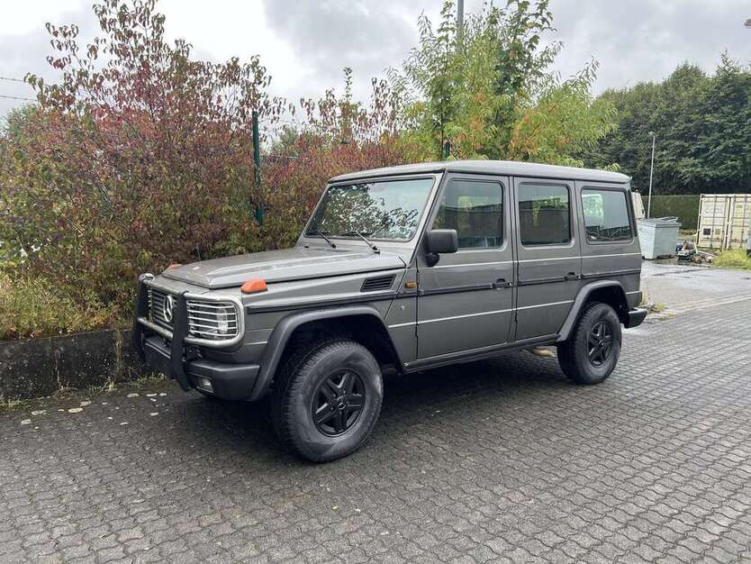 G 300