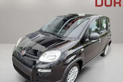 Fiat Panda 7.000 km 13.990 € Landshut 84030