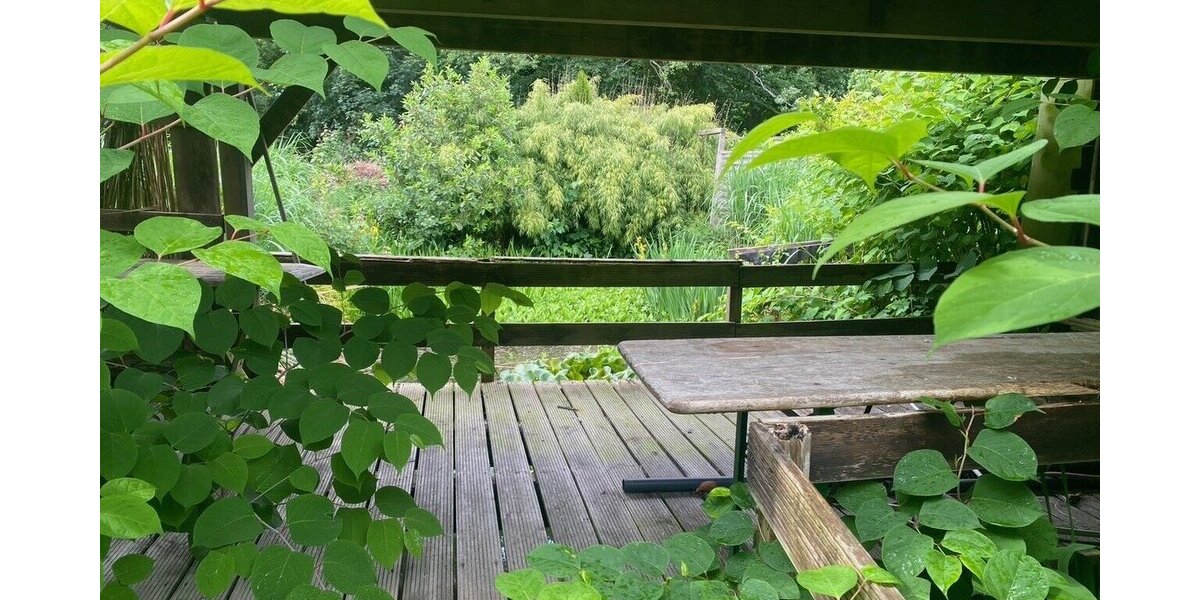 Walmdachbungalow in Marne - Stilvolles Wohnen mit Gartenblick und Wintergarten! - Bungalow Marne | Angebot:26835885