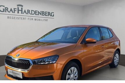 Skoda Fabia 22.000 km 15.777 € Lahr 77933