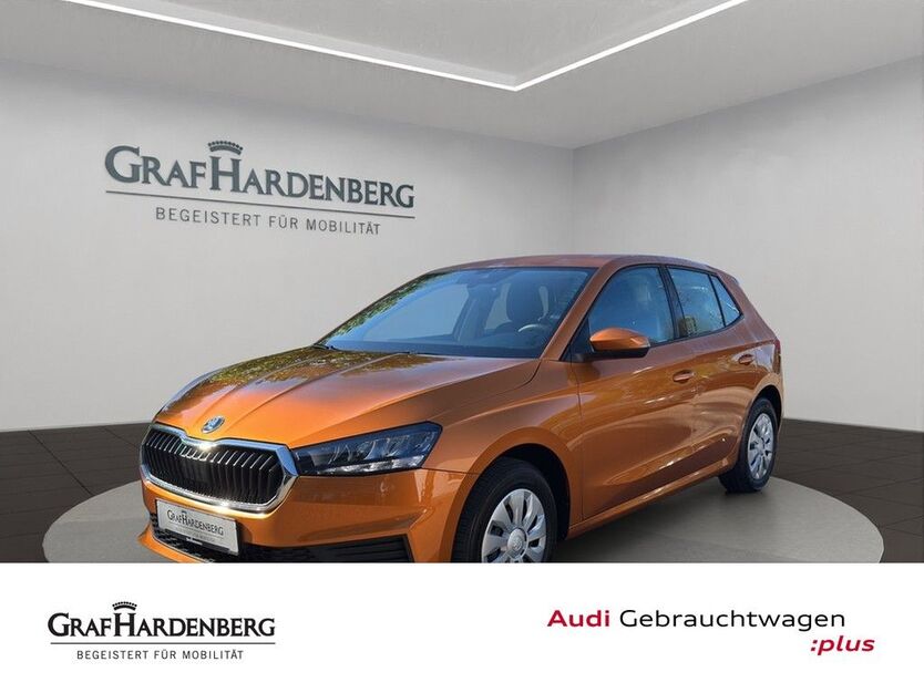 Skoda Fabia 22.000 km 15.888 € Lahr 77933