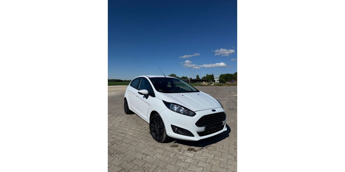 Ford Fiesta 176.674 km 3.900 &euro; Haren 49733