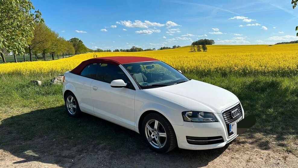 A3