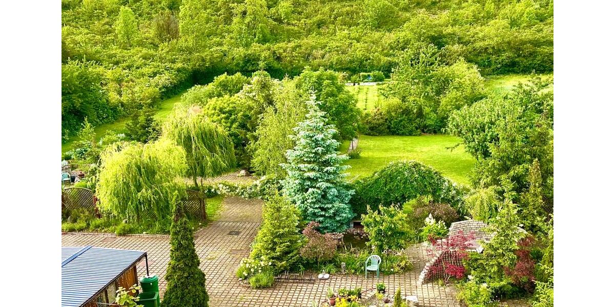 Einfamilienhaus Wernigerode - 8 Zimmer, 222 m&sup2;, 795.000&euro; | Angebot:27078971