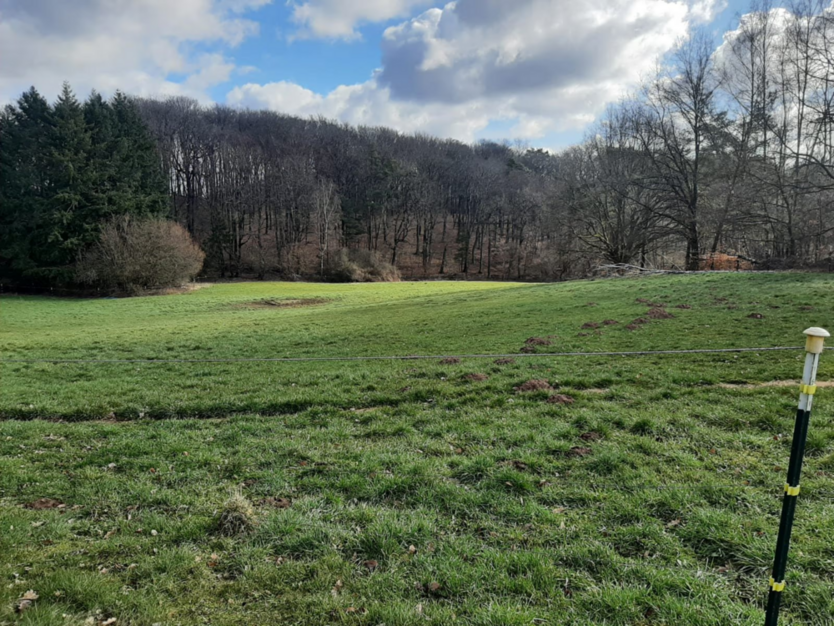 Grundstück zu verkaufen in Waldmohr 383.000 € 2127 m²