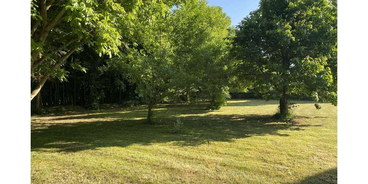 Haus zum Kaufen in Mitteleschenbach 475.000 € 254 m² 11 zimmer