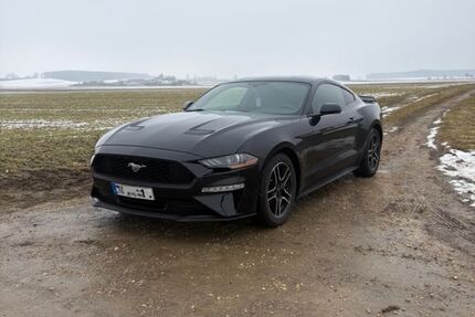 Ford Mustang 165.000 km 17.500 &euro; Ehingen 89584