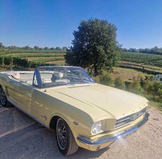 Mustang