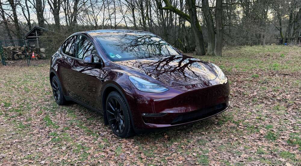 Model Y