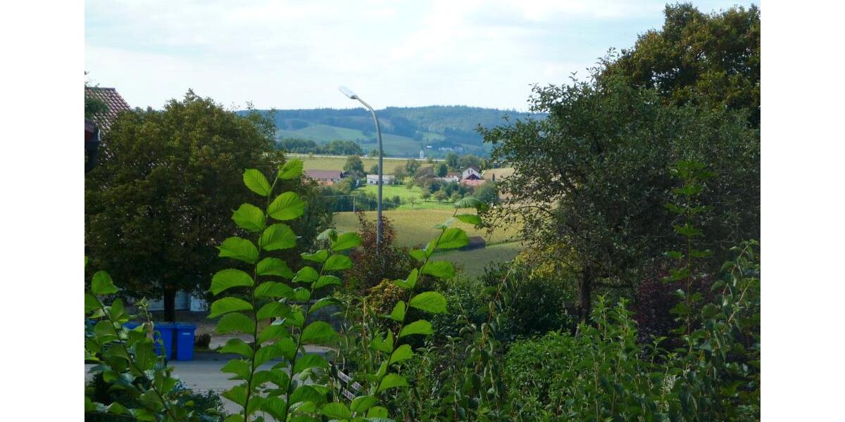 Etagenwohnung Bad Griesbach im Rottal - 1 Zimmer, 34 m&sup2;, 400&euro; | Angebot:26130547