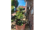 Erdgeschoßwohnung Dornum - 3 Zimmer, 98 m&sup2;, 250.000&euro; | Angebot:27167684