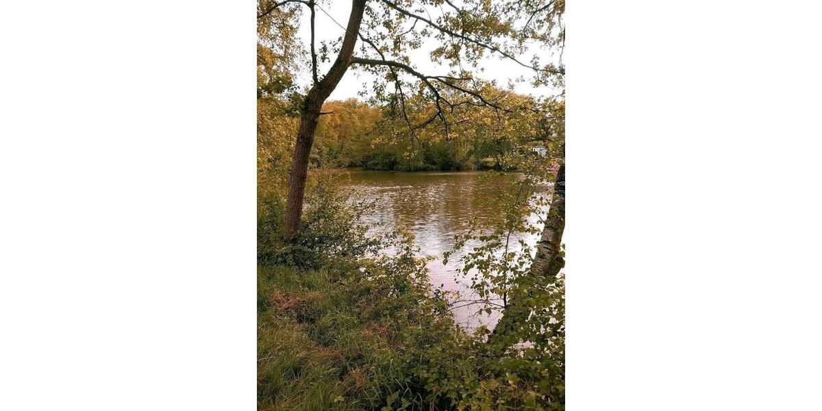 Einfamilienhaus Bispingen - 39.005&euro; | Angebot:26623292