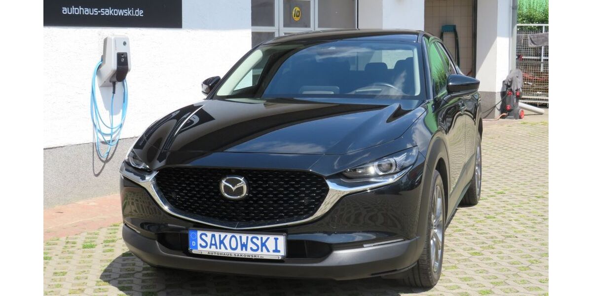 Mazda CX-30 53.956 km 21.990 &euro; Schwielowsee OT Geltow 14548