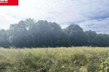 Grundstück zu verkaufen in Bad Oeynhausen 199.000 € 1300 m² zimmer