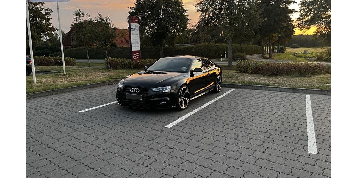 Audi A5 171.000 km 19.748 &euro; Langwedel 27299
