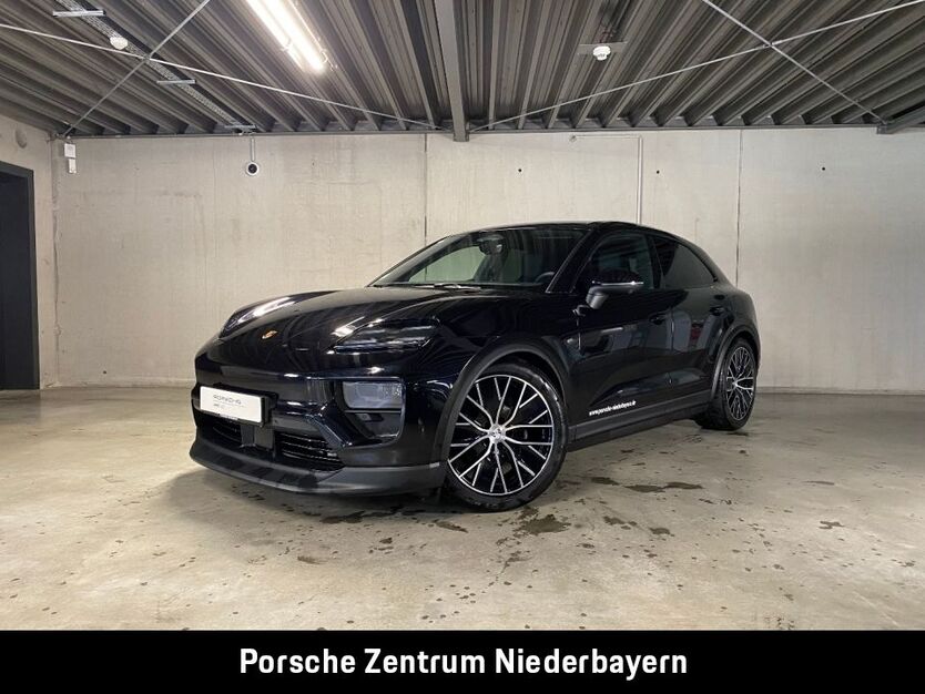 Macan
