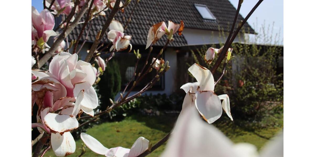 Einfamilienhaus Wingst - 6 Zimmer, 110 m&sup2;, 249.000&euro; | Angebot:26945718