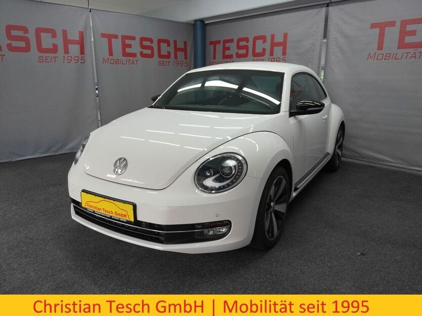Beetle