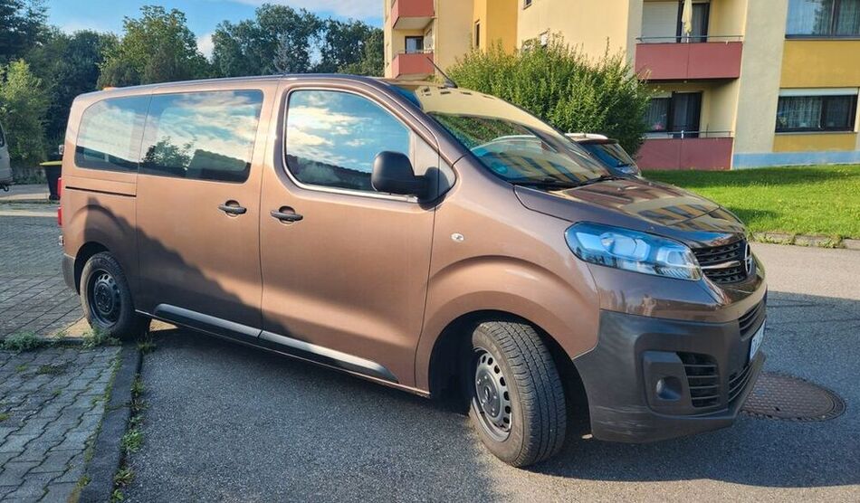Vivaro